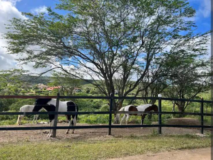 Flat No Hotel Fazenda Monte Castelo Gravata Condominio エクステリア 写真